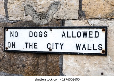 York City Walls 'No Dogs Allowed Sign'