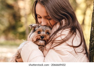 Yorkie puppy dog. Love for the puppy. Girl hugs a little Yorkie dog on  autumn background outside