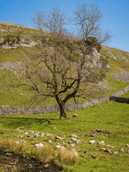 Yorkshire Dales Landscape In The Lower Wharfedale Near Skyreholme, North Yorkshire, England, UK
