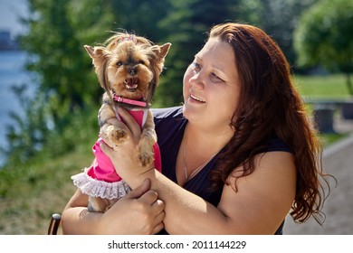 Yorkshire Terrier Dog On On Arms Of Large Build Woman.