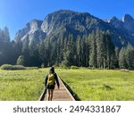 Yosemite National Park Boardwalk Hike Travel Beautiful Mountains Wandering