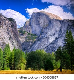 Yosemite National Park, California.  Half Dome Peak.