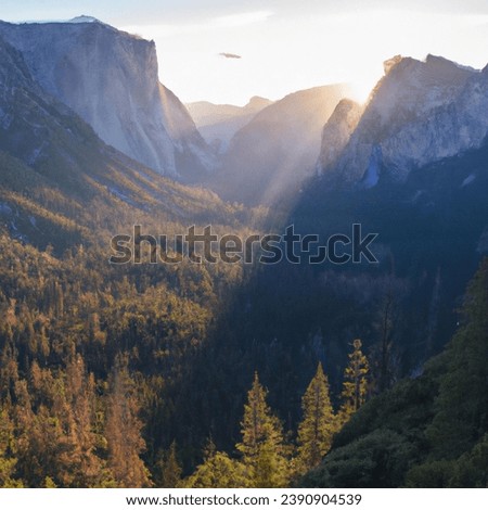 Yosemite National Park, a California treasure, unveils granite cliffs, majestic waterfalls, and pristine wilderness, captivating all who embrace its natural wonders.