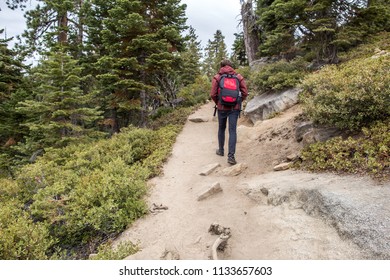 Yosemite National Park Man Hiking People On The Path Forest Tree Trekking Wood Area Jungle