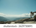 Yosemite National Park in California’s Sierra Nevada mountains epic aesthetic travel destination scenery person in tree 