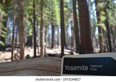 Yosemite National Park Sign Trees Background