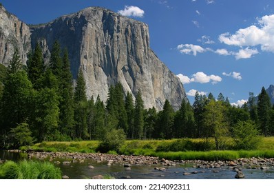 Yosemite Summer Scene With View Of River And El Capitan.