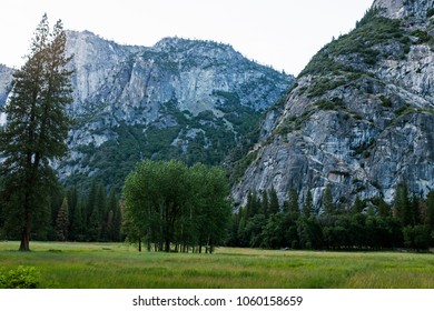 Yosemite Valley Scenery