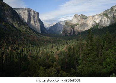 yosemite view