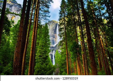 Водопады Йосемити позади Sequoias в Национальном парке Йосемити, Калифорния