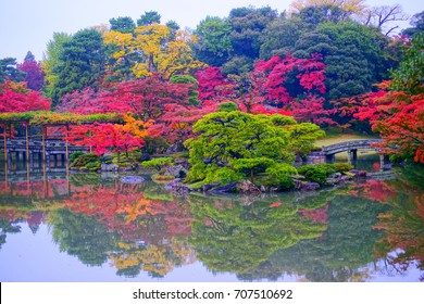 Yoshijima Images, Stock Photos & Vectors | Shutterstock