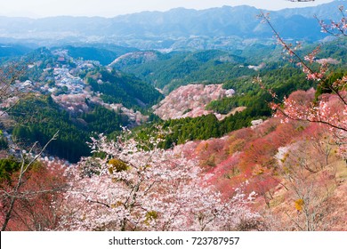 Yoshino mountain in spring