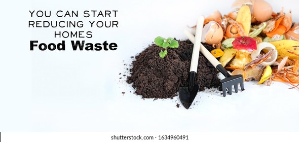 You Can Start Reducing Your Homes Food Waste. Compost From Fruits, Vegetable Scraps And Plant Sprout In Ground. Environmentally Responsible Behavior Concept.