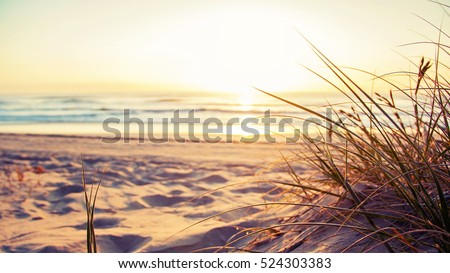 Similar – Image, Stock Photo when you have arrived