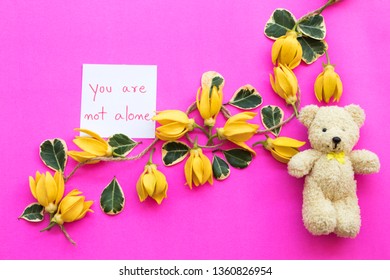 you are not alone message card handwriting with yellow flowers ylang ylang ,teddy bear arrangement flat lay style on background colorful pink 