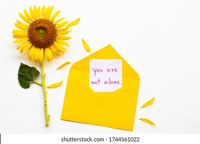 you are not alone message card handwriting in yellow envelope with yellow flower sunflower arrangement flat lay postcard style on background white