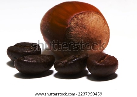 Are you nuts about coffee ?..Hasselnut surrounded by beans of fresh coffee