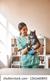 Are You Scared? Pleasant Young Female Vet Holding A Big Black Cat And Smiling While Looking At Him While Standing At The Veterinary Clinic