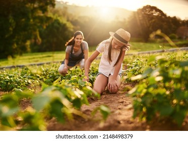 You Reap What You Sow. Shot Of A Young Girl Working On The Family Farm With Her Mother In The Background.