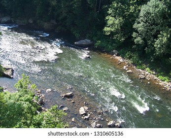 Youghiogheny River In Summer