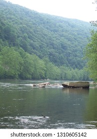 Youghiogheny River In Summer