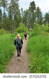 Youing female hikers on Lion Mountain Trail near Whitefish, Montana on sunny summer morning.