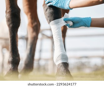 Youll be back to normal very soon. Cropped shot of an unrecognisable veterinarian wrapping a bandage around a horses leg on a farm. - Powered by Shutterstock
