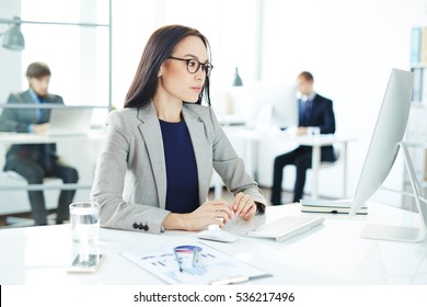 Young Accountant Stock Photo 536217496 | Shutterstock