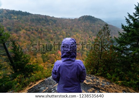 Young active caucasian woman hiking in a colourful forest on a rainy day during Fall.
