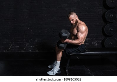 Young active strong sweaty fit muscular man with big muscles sitting on the bench and doing biceps curly workout with dumbbells in the gym as hardcore cross training real people exercising