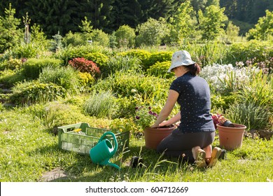 Young Active Woman Gardening And Planting Colorful Flowers In Summer Garden With Orchard