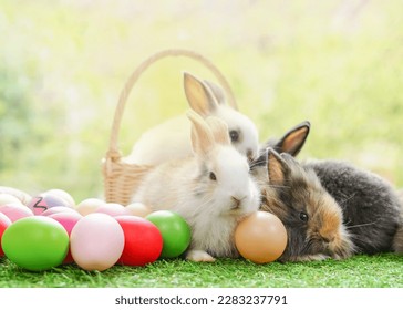 young adorable rabbits lying on grasses, fluffy bunny decorated with easter eggs                                - Shutterstock ID 2283237791
