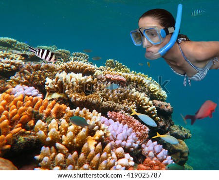 Young adult Australian woman snorkeling free dive in the Great Barrier Reef in the tropical far north of Queensland, Australia.Real people .Copy space