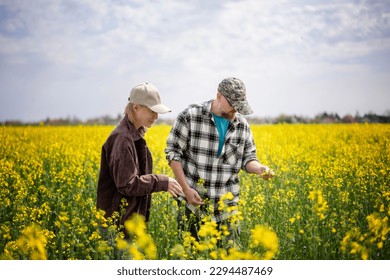 Young adult caucasian couple of farmers standing in a spring flowering rapeseed field checking tquality of seedlings - Powered by Shutterstock