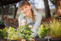 Young Adult Happy European Woman On The Terrace Of A Country House With A Pot Of Spring Primrose Flower In Her Hands. Gardening As A Hobby And Spring Lifestyle