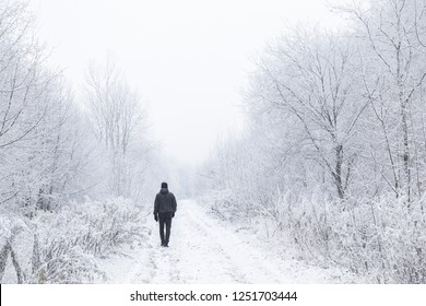 Young adult man alone slowly walking after snowfall. Peaceful atmosphere in amazing awesome winter day. Enjoying fresh air in snowy forest trail. Back view.