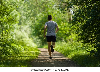 Young, Adult Man Running In Forest On Natural Trail In Sunny Summer Day. Daily Active Lifestyle. Back View.