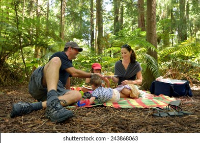 Young adult parents with children family having a picnic outdoors under Californian Coast Redwoods trees in Redwoods Forest, Whakarewarewa, New Zealand. Real people. Copy space