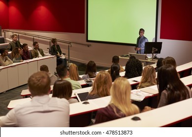 Young Adult Students At A University Lecture, Back View