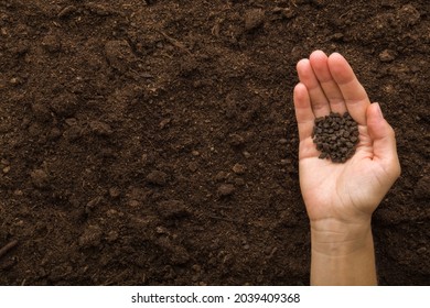 Young adult woman hand pouring black granules of chicken manure  on dark brown soil. Closeup. Product for root feeding of vegetables, flowers and plants. Empty place for text.
