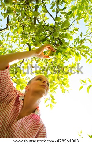 Similar – Senior woman and little girl picking apples from tree