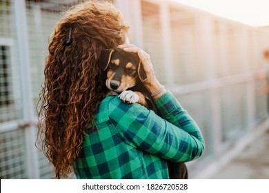 Young adult woman holding adorable dog in animal shelter. - Shutterstock ID 1826720528