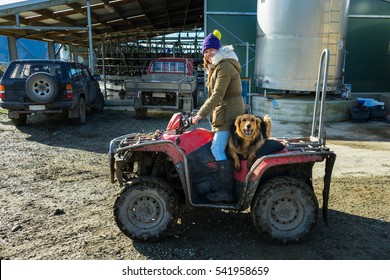 Young Adult Woman Working In A Dairy Farm With Her Dog