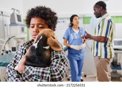 Young African America boy hugging his puppy comforting it after doing painful vaccination, his dad and vet discussing something on background