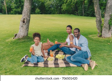 Young African American Family Having Picnic At Countryside