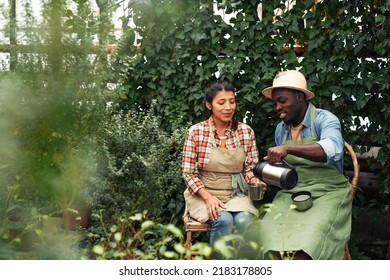 Young African American man and Hispanic woman working together in greenhouse having coffee break - Powered by Shutterstock