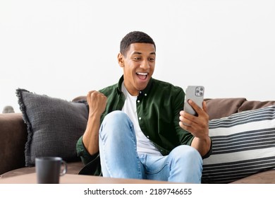 Young African American Man Looking At Screen Of Mobile Phone And Screaming, Gets Good News Sitting On The Couch At Home Or In A Modern Office Is Excited From Happiness, Success Concept