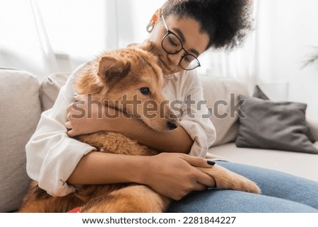 Young african american woman in eyeglasses hugging dog on couch at home