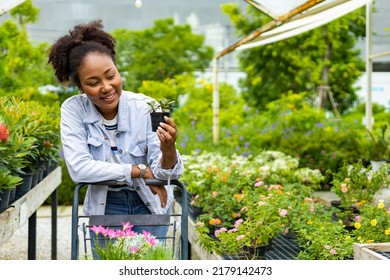 Young African Customer Is Choosing Exotic Plant From The Local Garden Center Nursery With Shopping Cart Full Of Summer Plant For Weekend Gardening And Outdoor Pursuit Concept