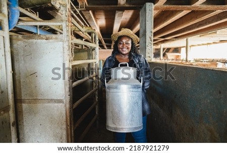 a milk cow in the pasture looks into the camera and eats a flower. organic pasture. in the background another cow. shallow depth of field. nice weather